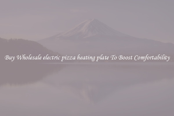 Buy Wholesale electric pizza heating plate To Boost Comfortability