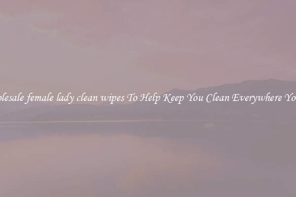 Wholesale female lady clean wipes To Help Keep You Clean Everywhere You Go