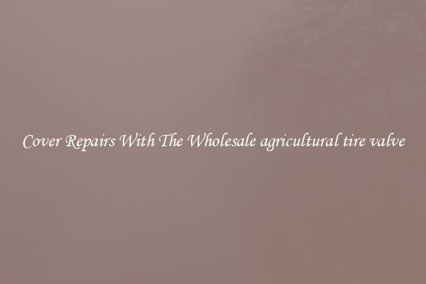  Cover Repairs With The Wholesale agricultural tire valve 