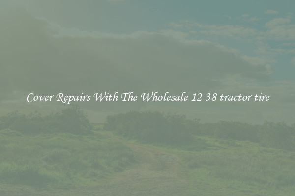  Cover Repairs With The Wholesale 12 38 tractor tire 
