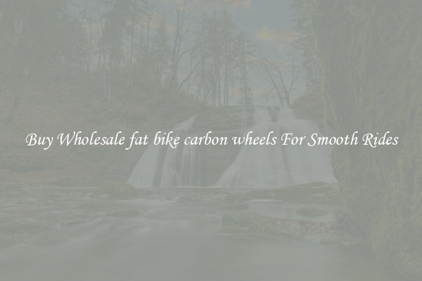 Buy Wholesale fat bike carbon wheels For Smooth Rides