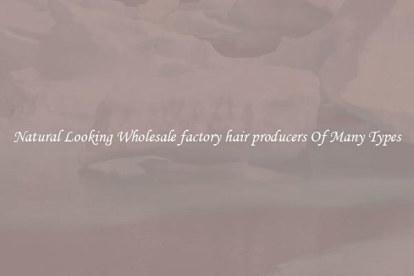 Natural Looking Wholesale factory hair producers Of Many Types