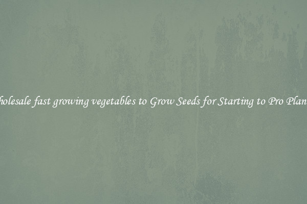 Wholesale fast growing vegetables to Grow Seeds for Starting to Pro Planters
