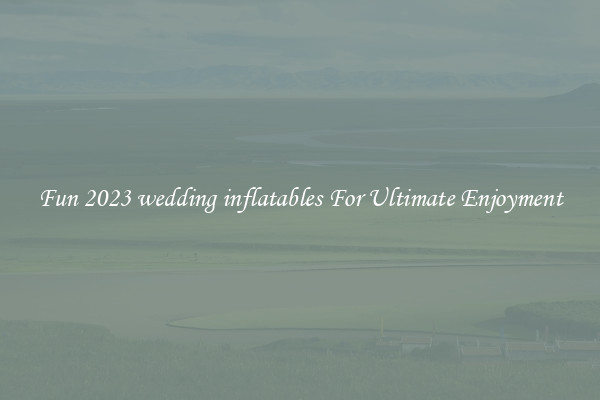 Fun 2023 wedding inflatables For Ultimate Enjoyment