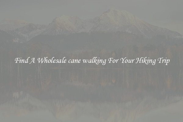 Find A Wholesale cane walking For Your Hiking Trip