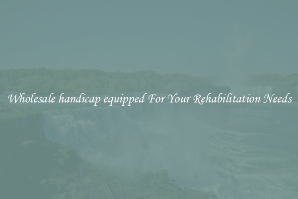 Wholesale handicap equipped For Your Rehabilitation Needs
