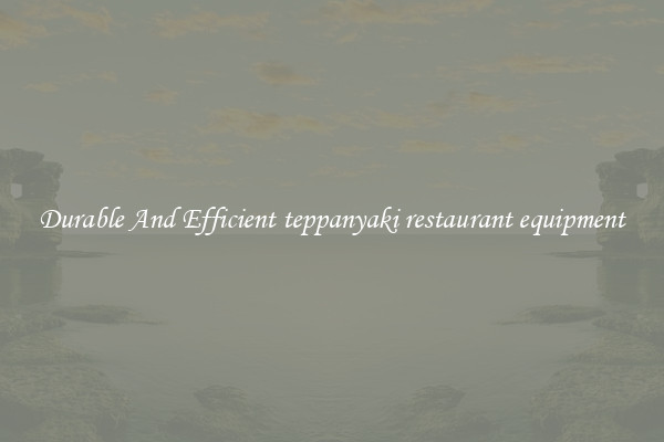 Durable And Efficient teppanyaki restaurant equipment