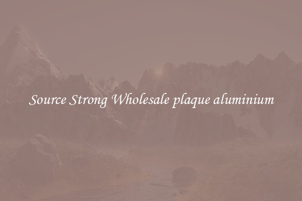 Source Strong Wholesale plaque aluminium