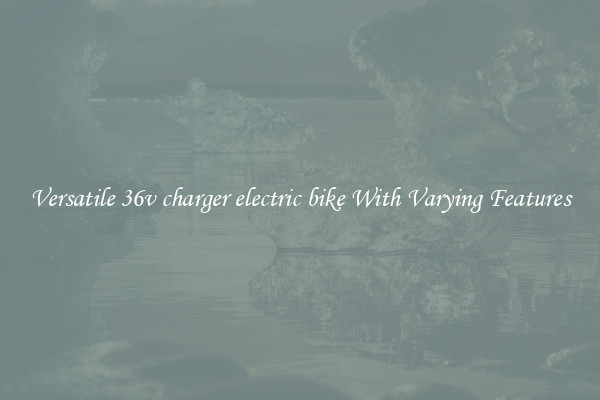 Versatile 36v charger electric bike With Varying Features