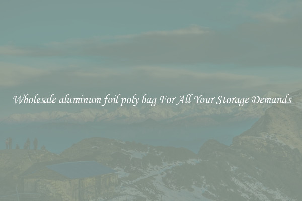 Wholesale aluminum foil poly bag For All Your Storage Demands