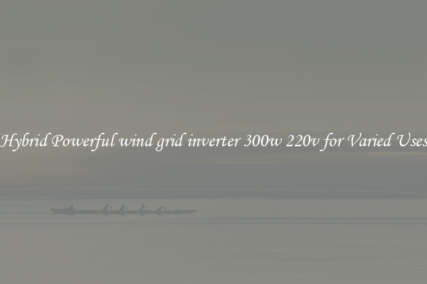 Hybrid Powerful wind grid inverter 300w 220v for Varied Uses