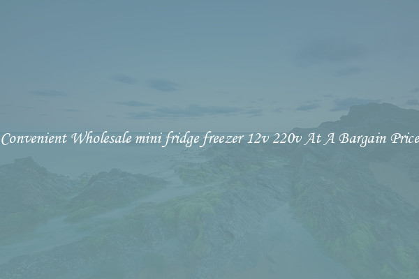 Convenient Wholesale mini fridge freezer 12v 220v At A Bargain Price