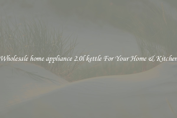 Wholesale home appliance 2.0l kettle For Your Home & Kitchen
