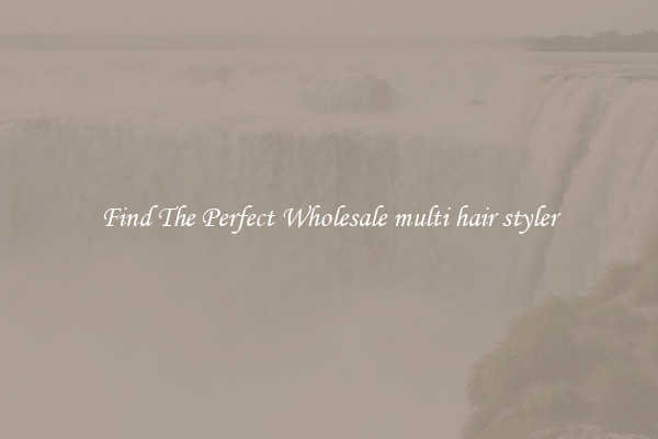 Find The Perfect Wholesale multi hair styler
