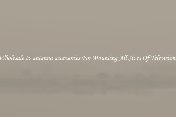 Wholesale tv antenna accessories For Mounting All Sizes Of Televisions