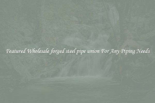 Featured Wholesale forged steel pipe union For Any Piping Needs