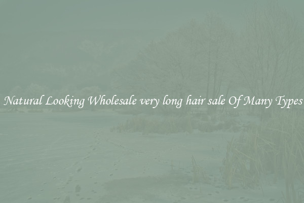 Natural Looking Wholesale very long hair sale Of Many Types