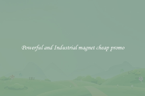 Powerful and Industrial magnet cheap promo