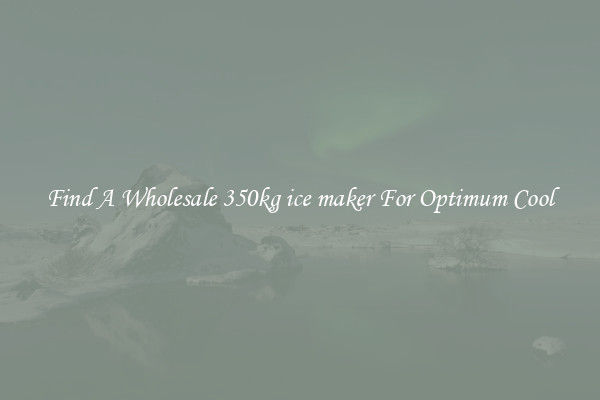 Find A Wholesale 350kg ice maker For Optimum Cool