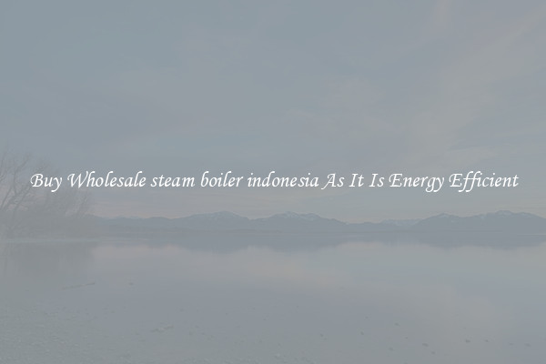Buy Wholesale steam boiler indonesia As It Is Energy Efficient