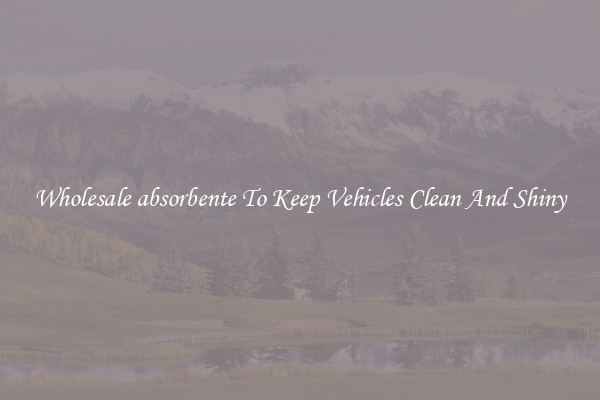 Wholesale absorbente To Keep Vehicles Clean And Shiny