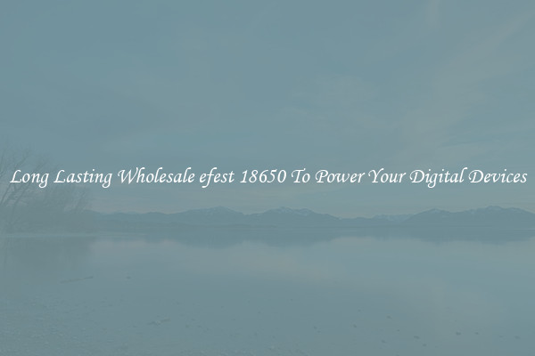 Long Lasting Wholesale efest 18650 To Power Your Digital Devices