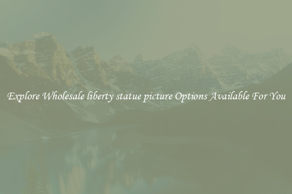 Explore Wholesale liberty statue picture Options Available For You