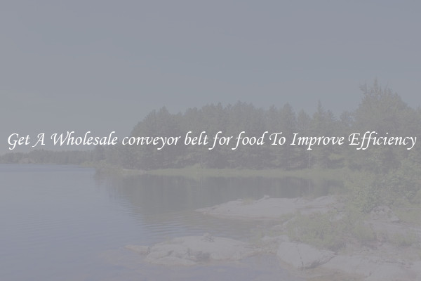 Get A Wholesale conveyor belt for food To Improve Efficiency
